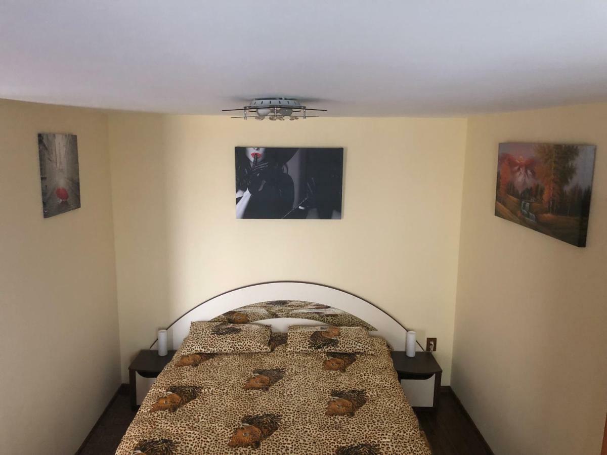 Studio Apartment Emy Apartment Brasov