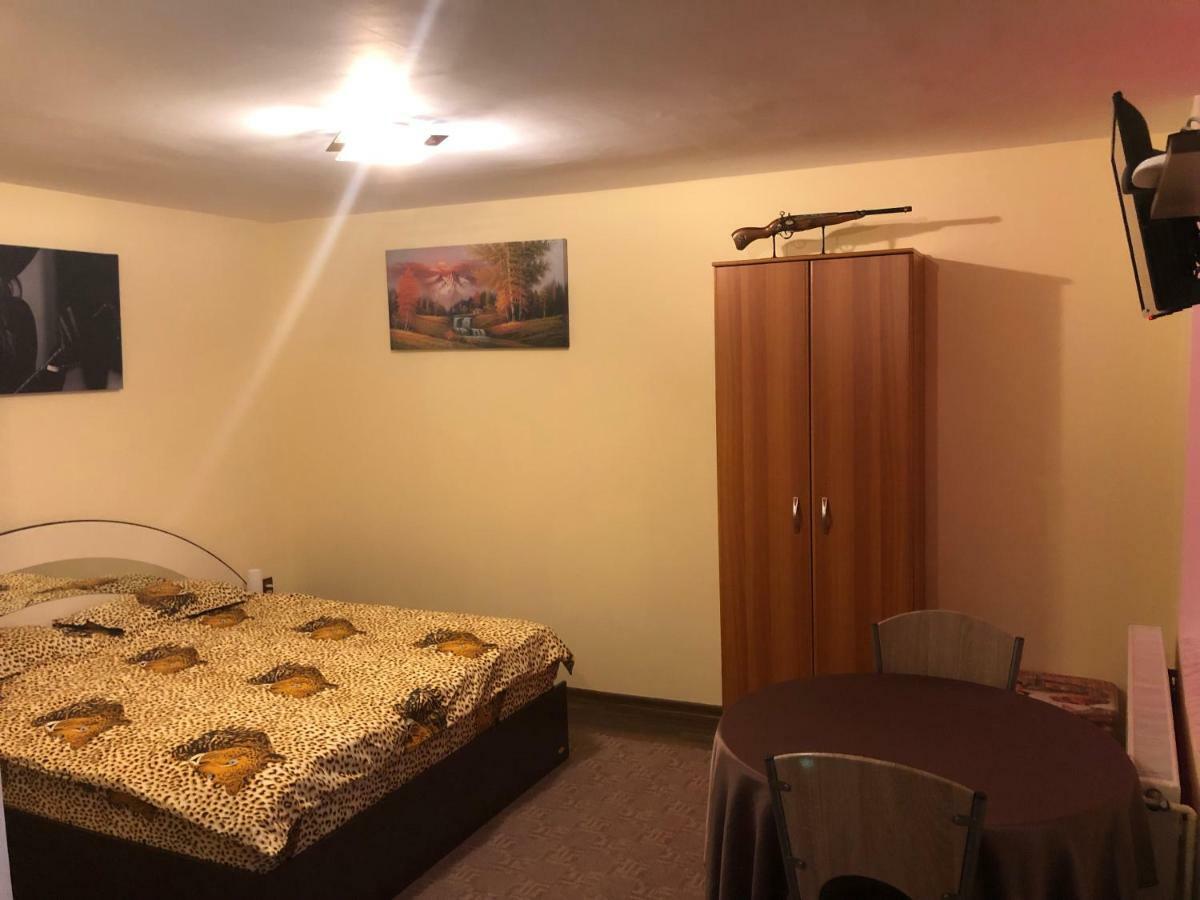 Apartment Studio Apartment Emy Brasov